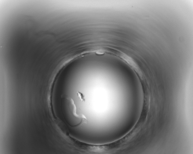 X0000089460805200706221304