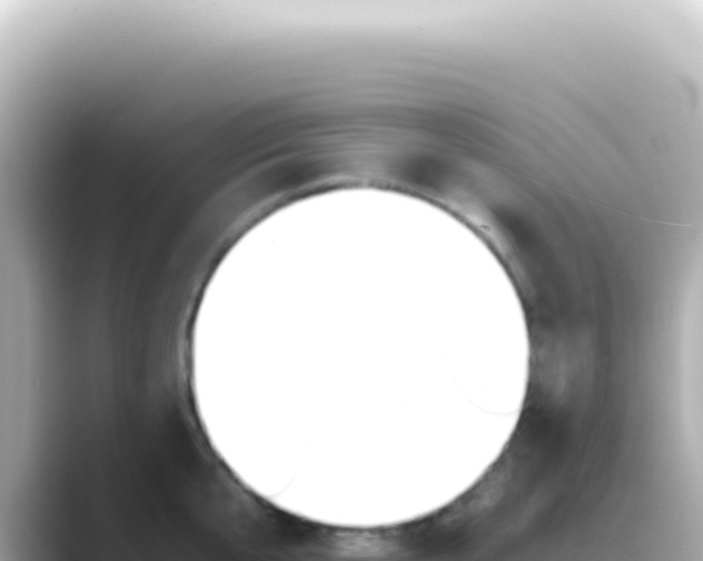 X0000089460807200706221304