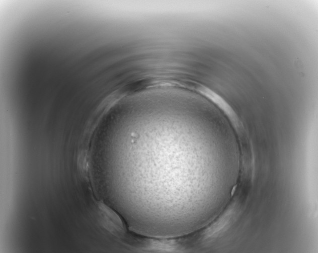 X0000089460809200706221304