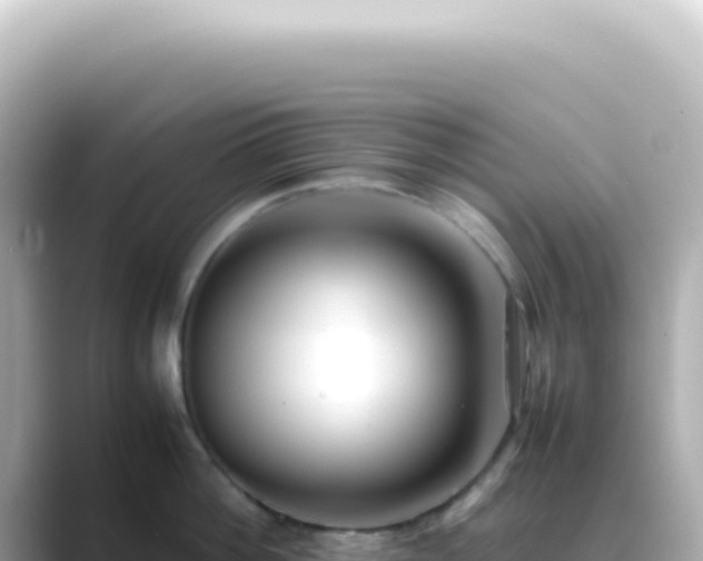 X0000089460812200706221304