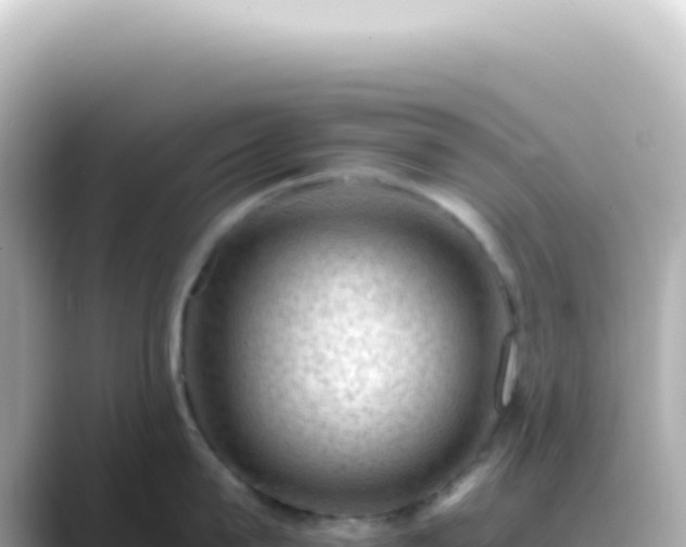 X0000089460815200706221304
