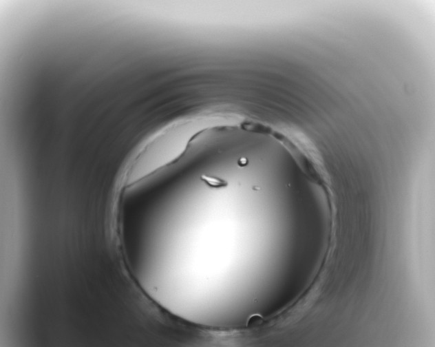 X0000089460816200706221304