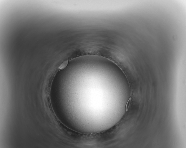 X0000089460817200706221303