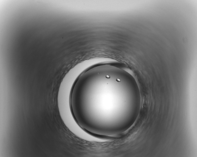 X0000089460818200706221303