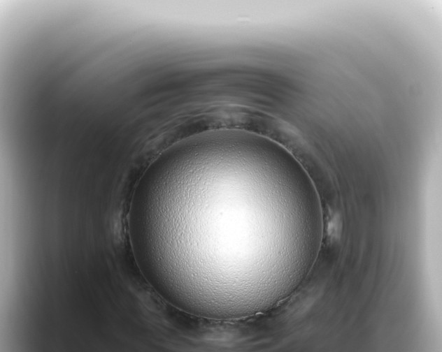 X0000089460819200706221303