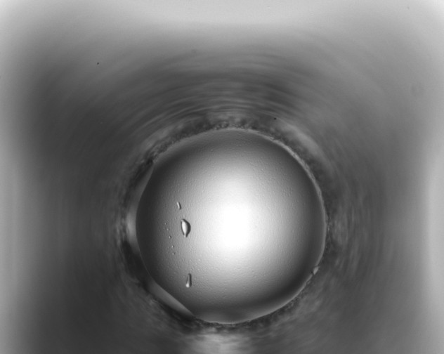 X0000089460821200706221303