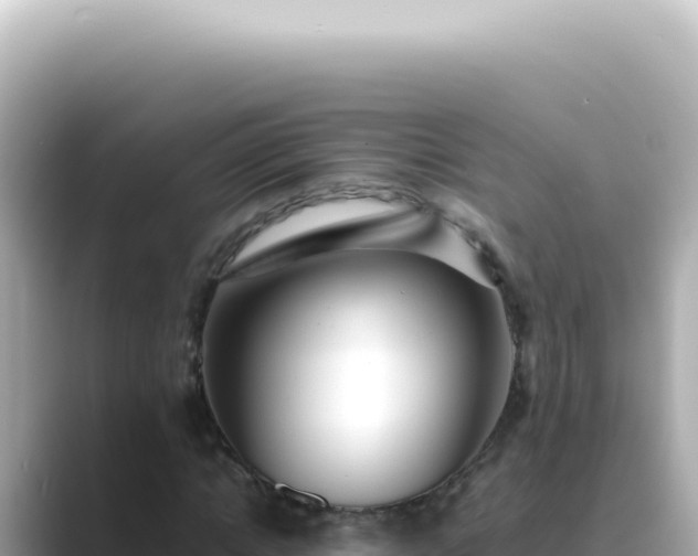 X0000089460822200706221303