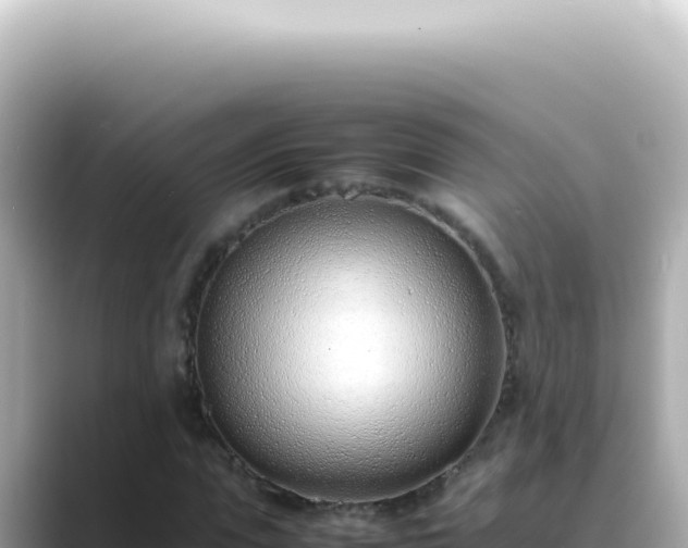 X0000089460823200706221303