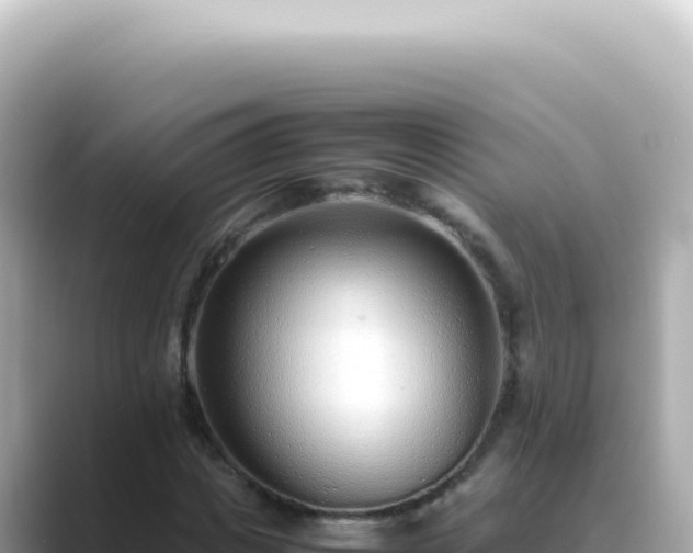 X0000089460825200706221303