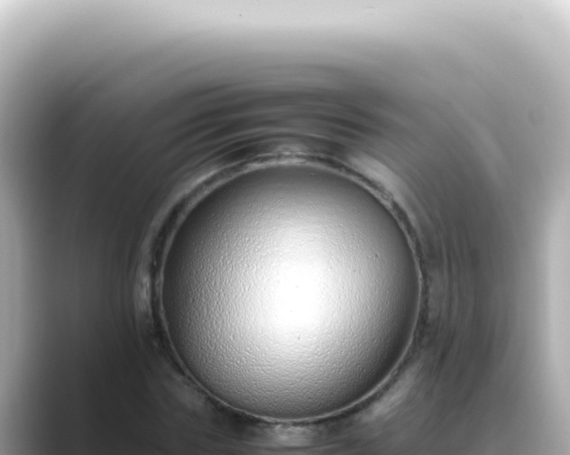 X0000089460827200706221303