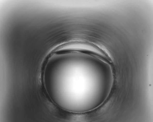 X0000089460830200706221303