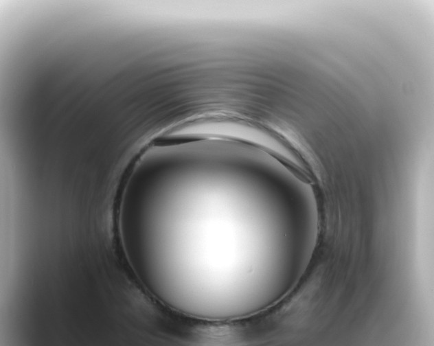X0000089460834200706221303