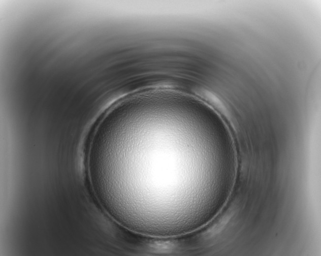 X0000089460835200706221303