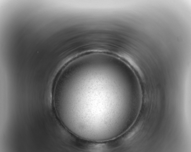 X0000089460837200706221304