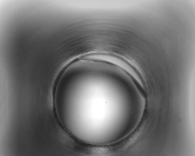 X0000089460838200706221304