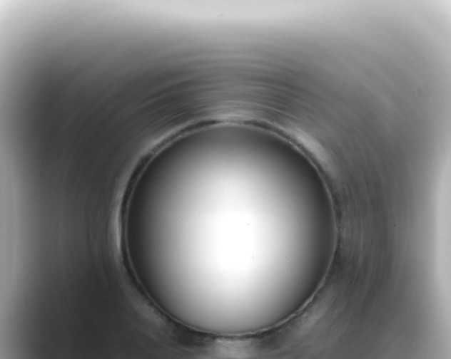 X0000089460840200706221304