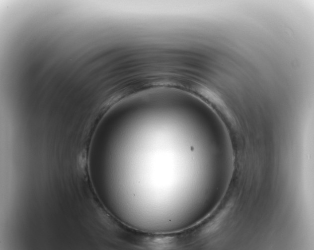 X0000089460841200706221304