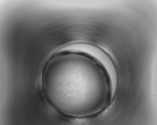 X0000089460842200706221304