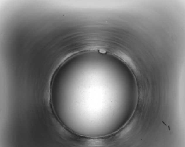 X0000089460844200706221304