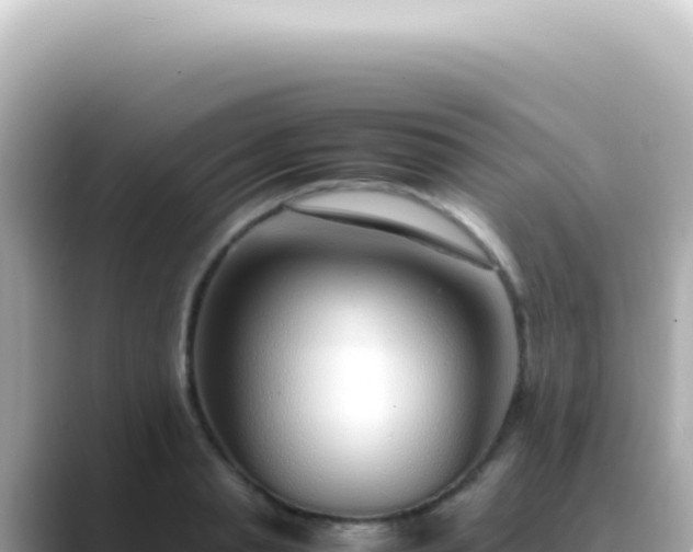 X0000089460845200706221304