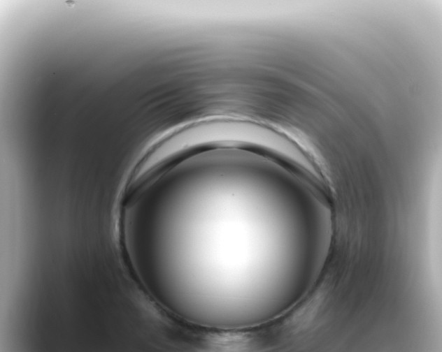 X0000089460846200706221304