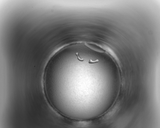 X0000089460847200706221304