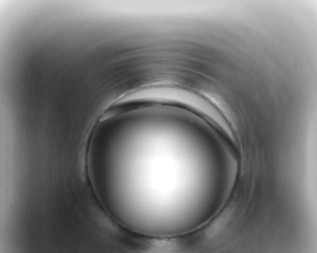 X0000089460850200706221304