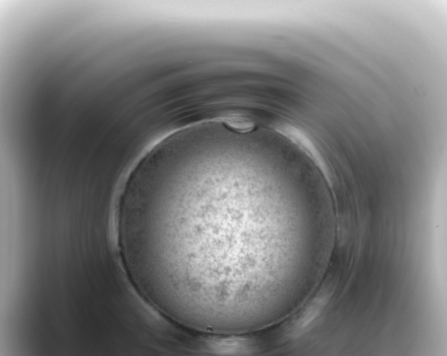 X0000089460851200706221304