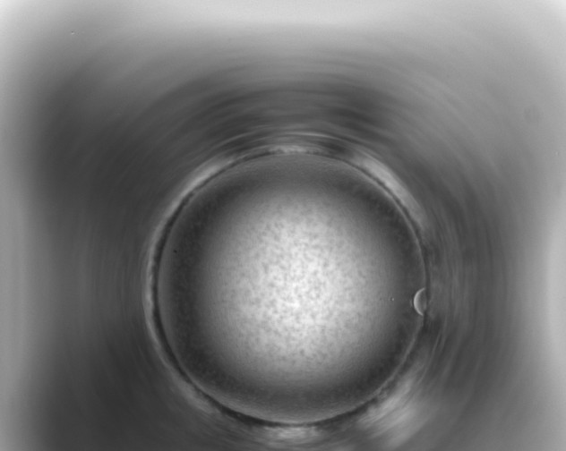 X0000089460853200706221304