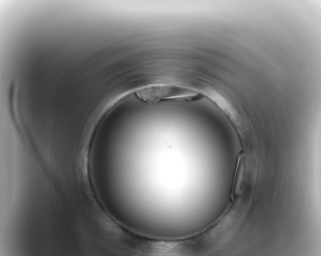 X0000089460854200706221304
