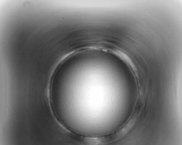 X0000089460855200706221304