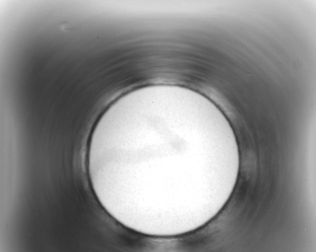 X0000089460856200706221304