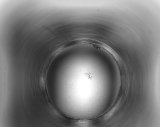 X0000089460857200706221304