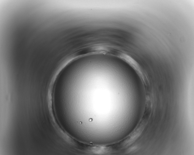 X0000089460859200706221304
