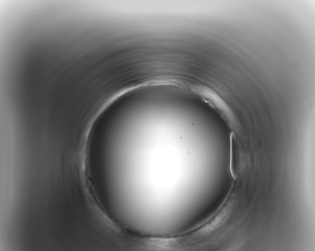 X0000089460860200706221304