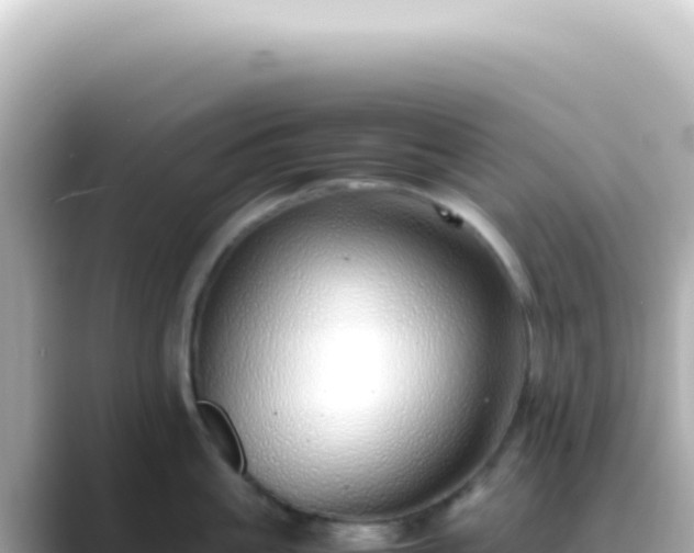 X0000089460861200706221304