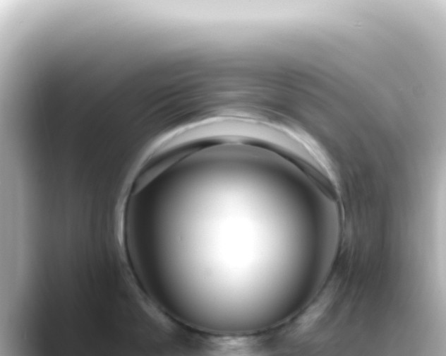 X0000089460862200706221304