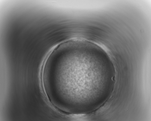 X0000089460864200706221304