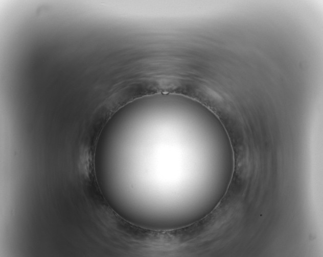 X0000089460866200706221303