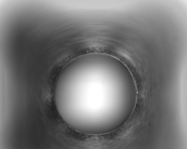 X0000089460869200706221303