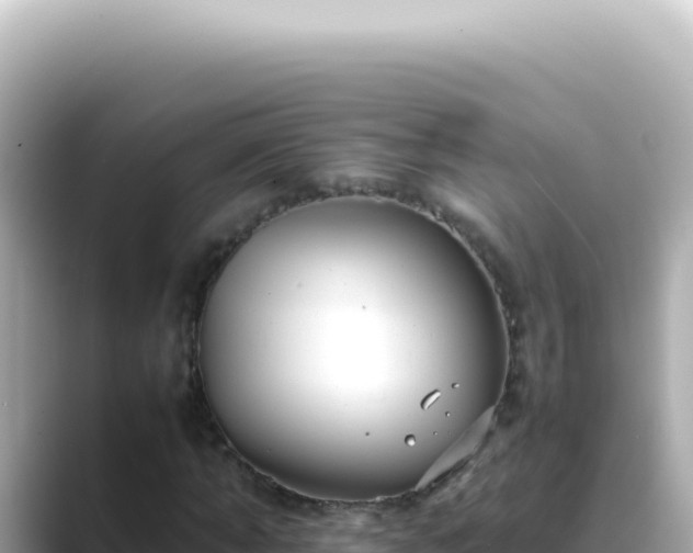 X0000089460870200706221303