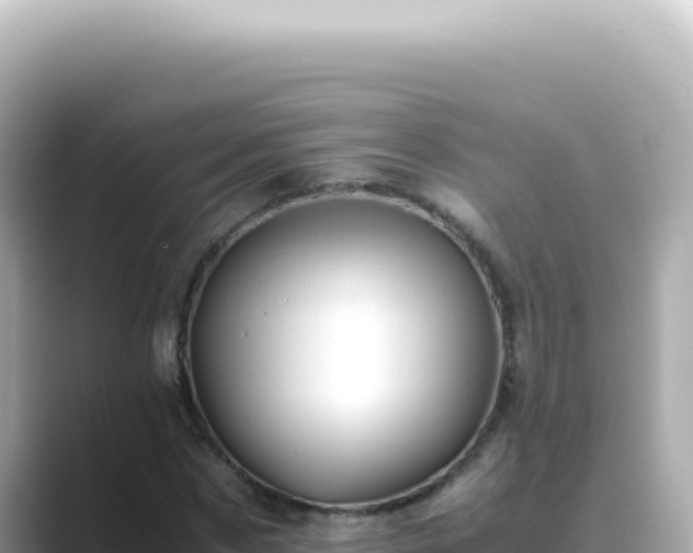 X0000089460873200706221303