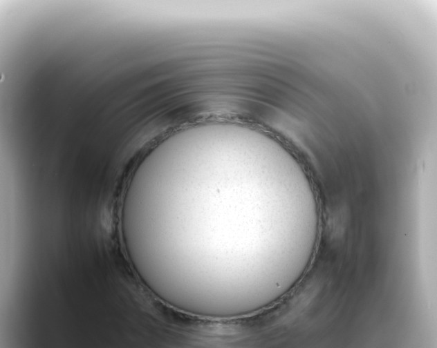 X0000089460874200706221303