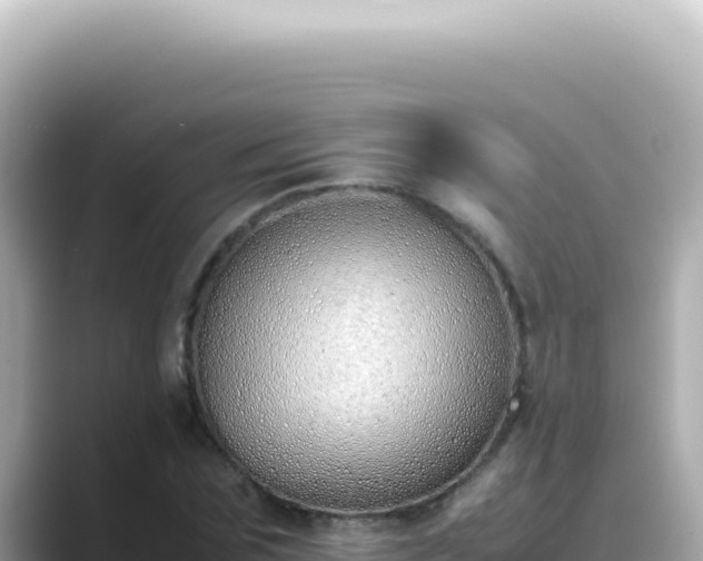 X0000089460875200706221303