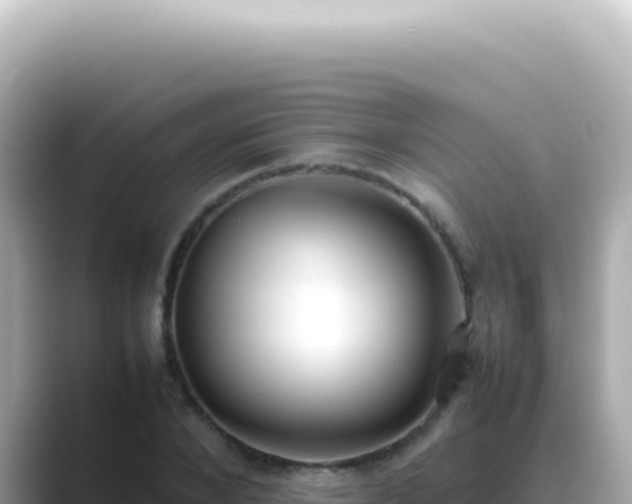 X0000089460880200706221303