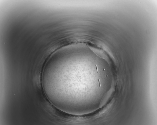 X0000089460881200706221303