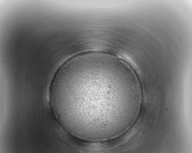 X0000089460883200706221303