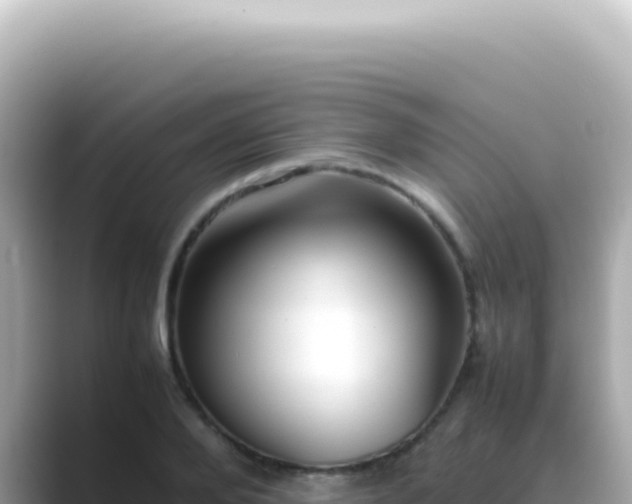 X0000089460888200706221303
