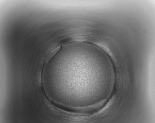 X0000089460889200706221303