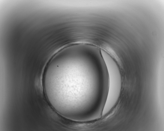 X0000089460892200706221303